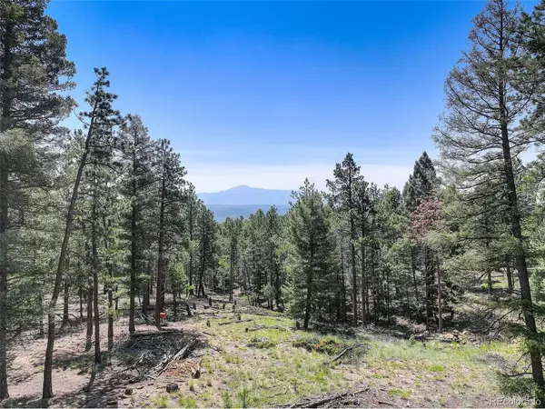 1002 Indian Creek, Florissant, CO 80816