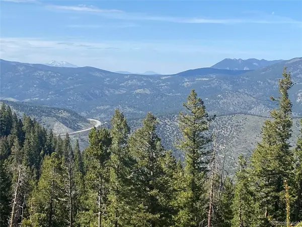 1695 Packsaddle, Evergreen, CO 80439