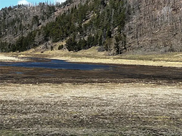 2354 Benton, Fort Garland, CO 81133