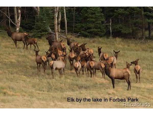 2354 Benton, Fort Garland, CO 81133