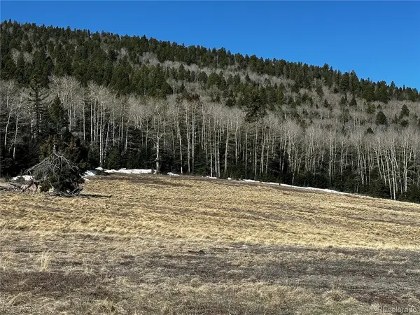 2354 Benton, Fort Garland, CO 81133