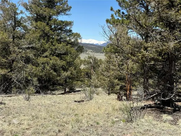 353 Adobe, Hartsel, CO 80449