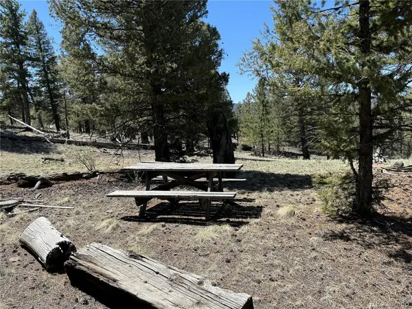 353 Adobe, Hartsel, CO 80449