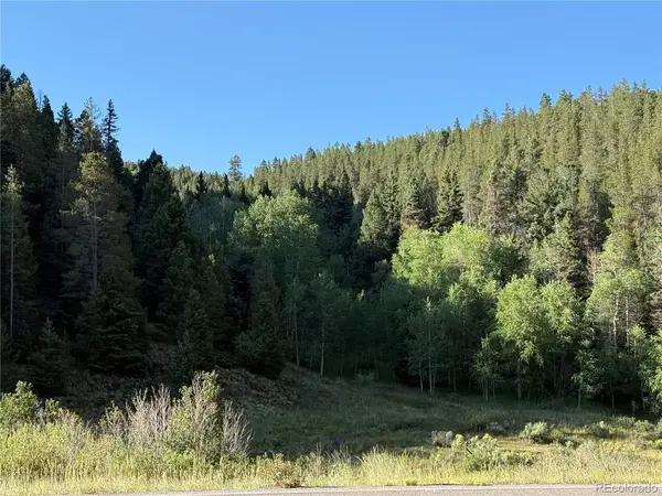 223 Hwy 160, Fort Garland, CO 81133