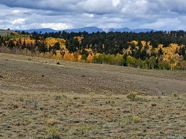1825 Rhyolite, Como, CO 80432