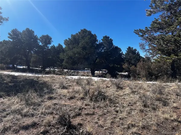 2161 Indian Well, Crestone, CO 81131