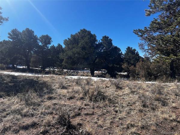 2161 Indian Well, Crestone, CO 81131