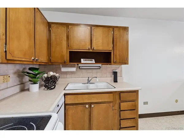 610 S Clinton #10B, Denver, CO 80247