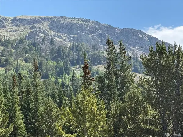 3800 Fourth of July, Nederland, CO 80216