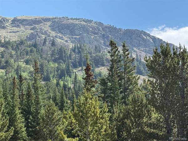 3800 Fourth of July, Nederland, CO 80216
