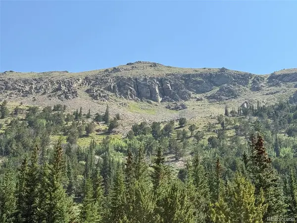 3800 Fourth of July, Nederland, CO 80216
