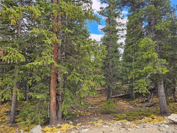 617 Gold Trail, Fairplay, CO 80440