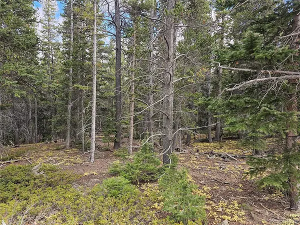 617 Gold Trail, Fairplay, CO 80440