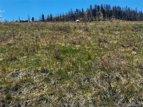 7712 Hallstein, Fort Garland, CO 81133