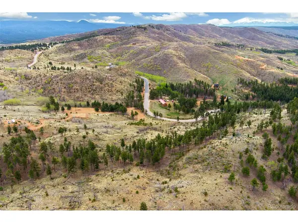 13990 S State Highway 67, Woodland Park, CO 80863