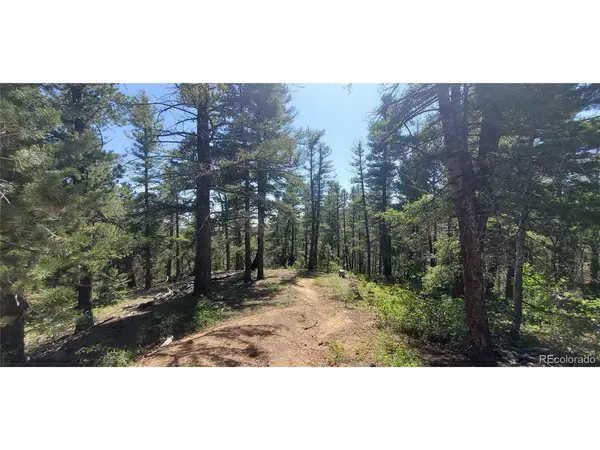 6764 Kerrigan, Fort Garland, CO 81133