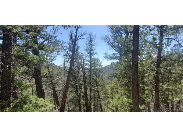 6764 Kerrigan, Fort Garland, CO 81133