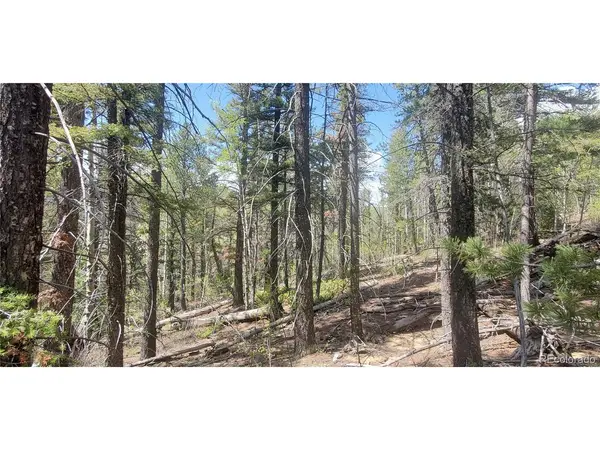 6764 Kerrigan, Fort Garland, CO 81133