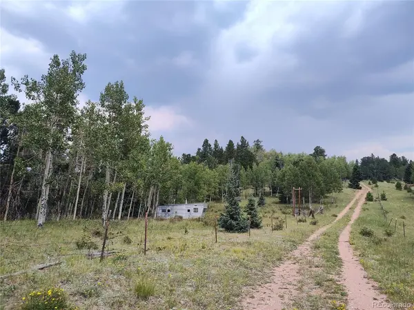 3154 CR 863, Victor, CO 80860