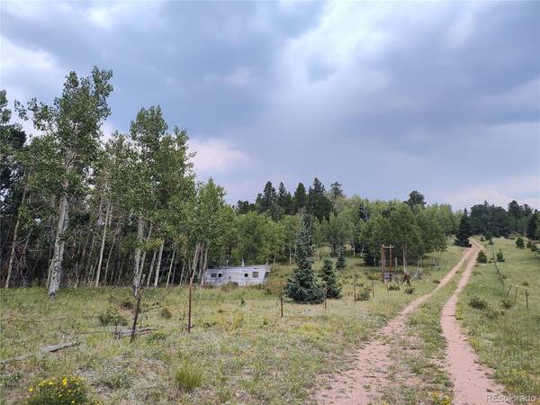 3154 CR 863, Victor, CO 80860