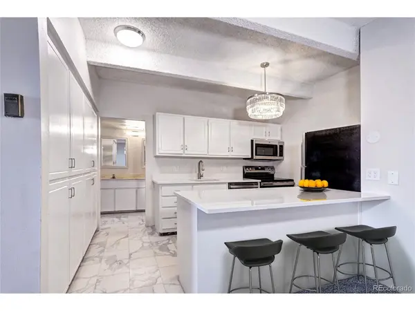 130 N Pearl #1606, Denver, CO 80203