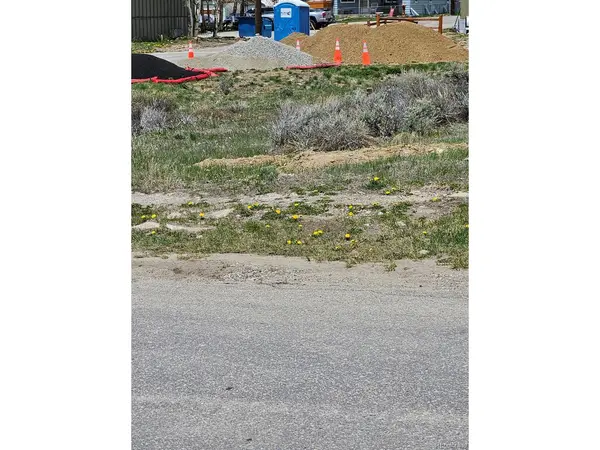 140 Chestnut, Leadville, CO 80461