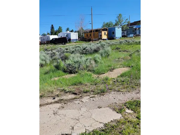 140 Chestnut, Leadville, CO 80461