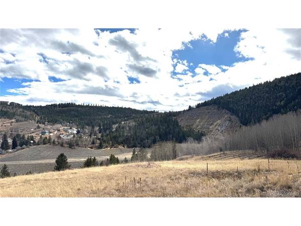 1 Hooper, Central City, CO 80427