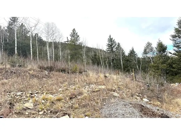 1 Hooper, Central City, CO 80427