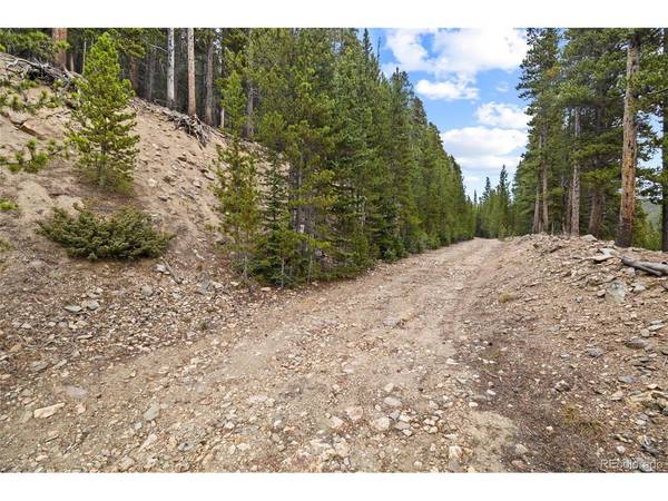 773 Harris, Idaho Springs, CO 80452