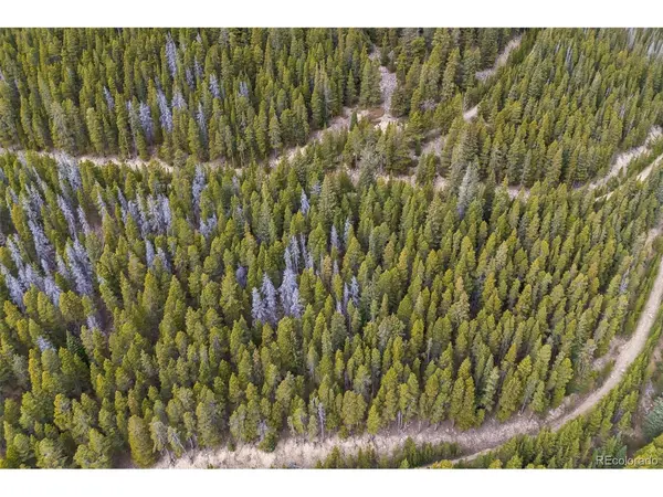 773 Harris, Idaho Springs, CO 80452