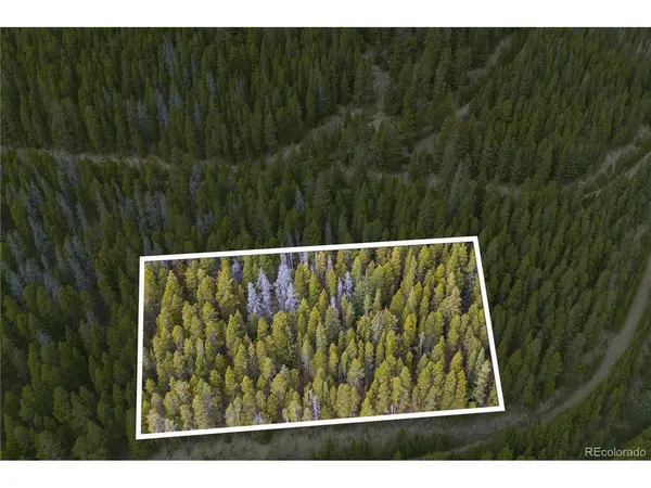 773 Harris, Idaho Springs, CO 80452