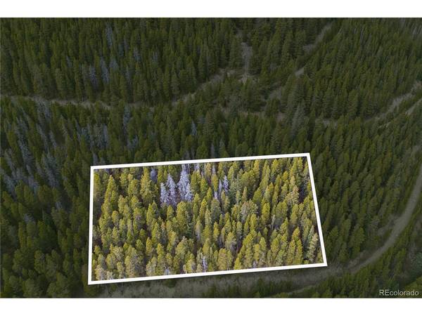 773 Harris, Idaho Springs, CO 80452