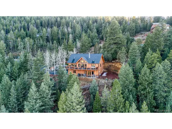 1055 Saddleback, Evergreen, CO 80439