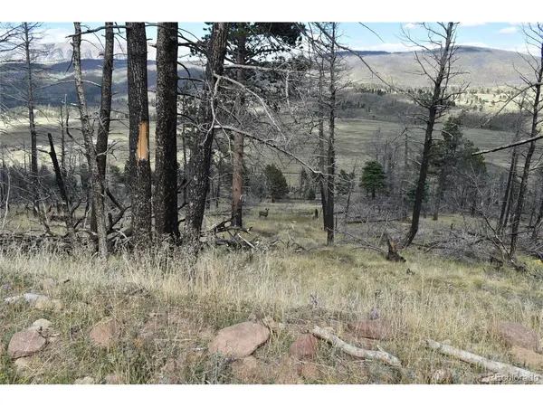 Soubry Pl, Fort Garland, CO 81133