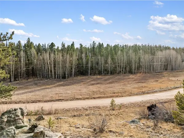 263 Valley, Lake George, CO 80827