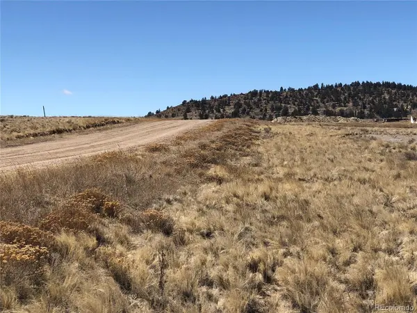 121 Commanche, Hartsel, CO 80449