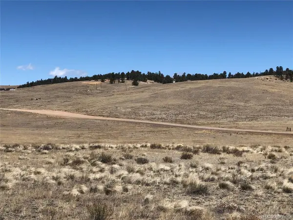 121 Commanche, Hartsel, CO 80449