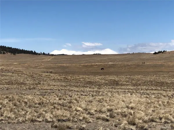 121 Commanche, Hartsel, CO 80449