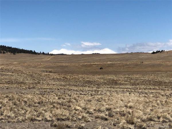 121 Commanche, Hartsel, CO 80449