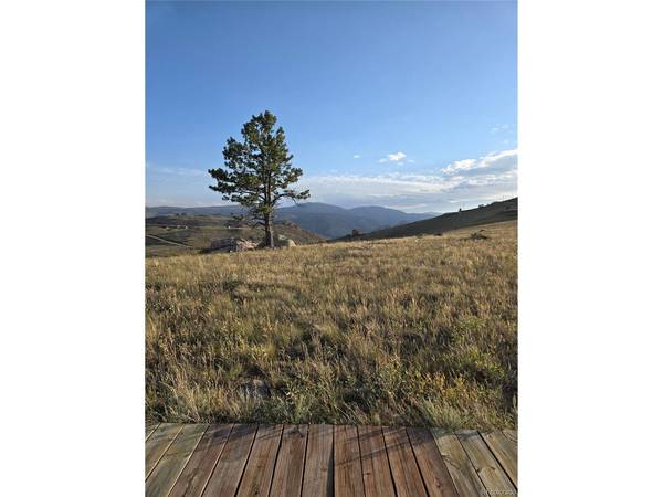 443 Meadow Mountain, Livermore, CO 80536