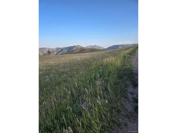 443 Meadow Mountain, Livermore, CO 80536