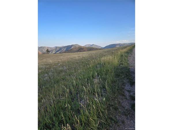 443 Meadow Mountain, Livermore, CO 80536