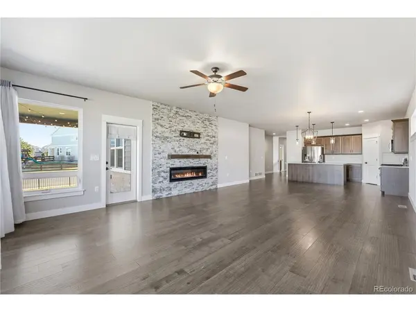 1908 Tidewater, Windsor, CO 80550