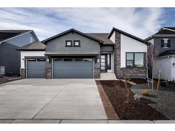 17242 Alsike Clover, Monument, CO 80132