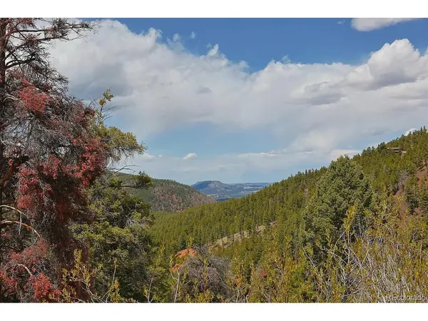 13499 S Firedog, Larkspur, CO 80118