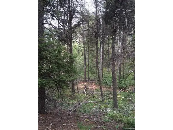 13499 S Firedog, Larkspur, CO 80118