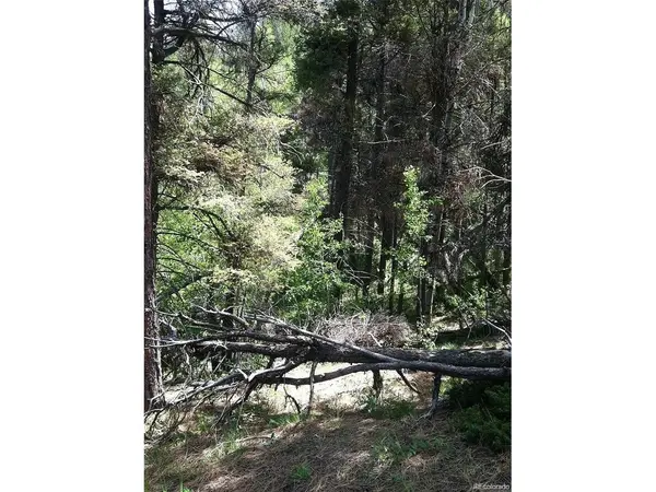 13499 S Firedog, Larkspur, CO 80118