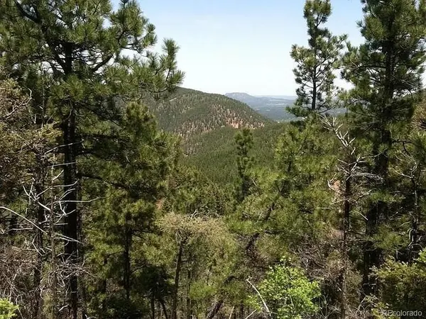 13499 S Firedog, Larkspur, CO 80118