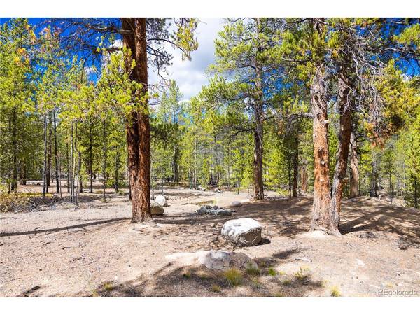 247 Juniper, Twin Lakes, CO 80461